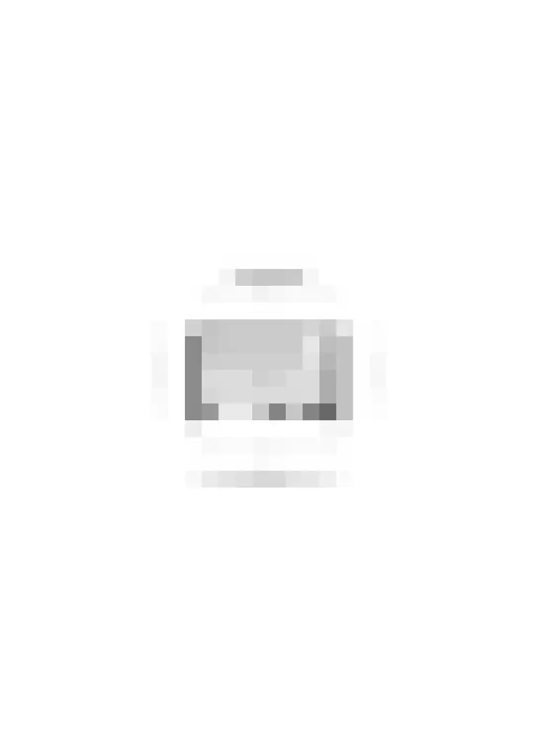 Ammerzoden 28 Hillegom thumbnail 58