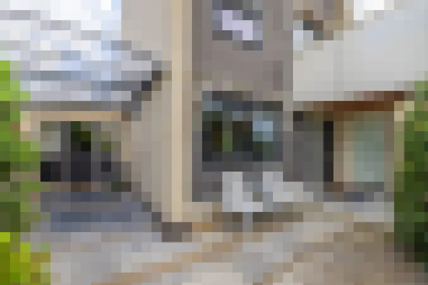 Ammerzoden 28 Hillegom thumbnail 6