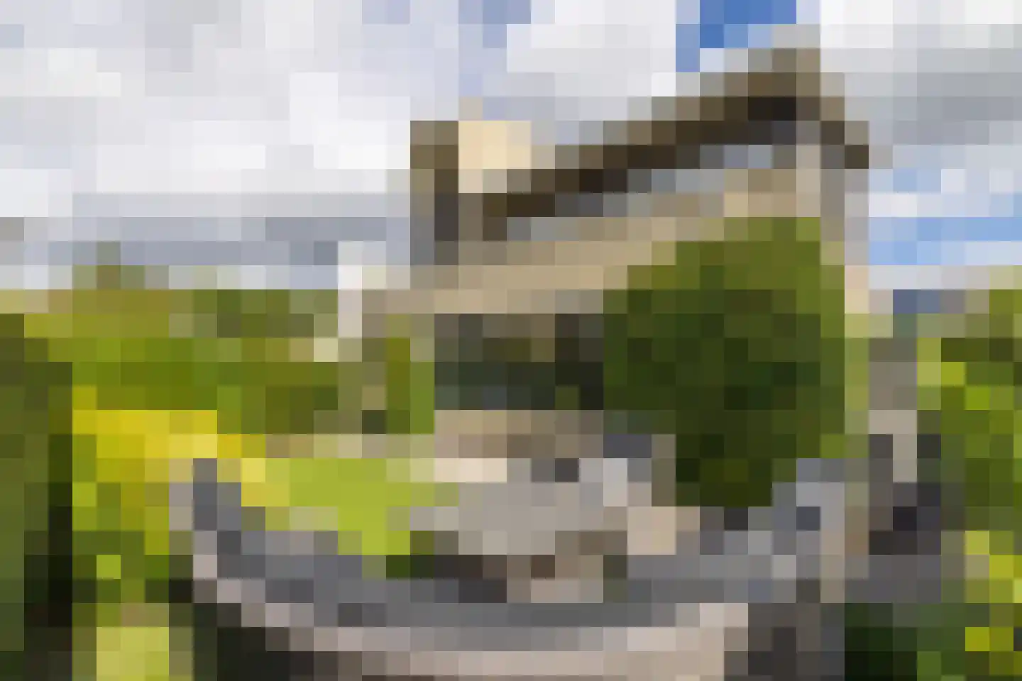 Ammerzoden 28 Hillegom thumbnail 8