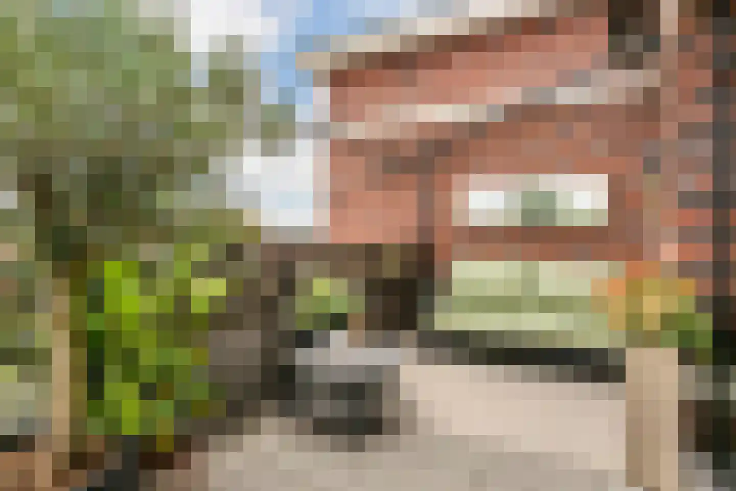 Ammerzodenlaan 113 Amersfoort thumbnail 18