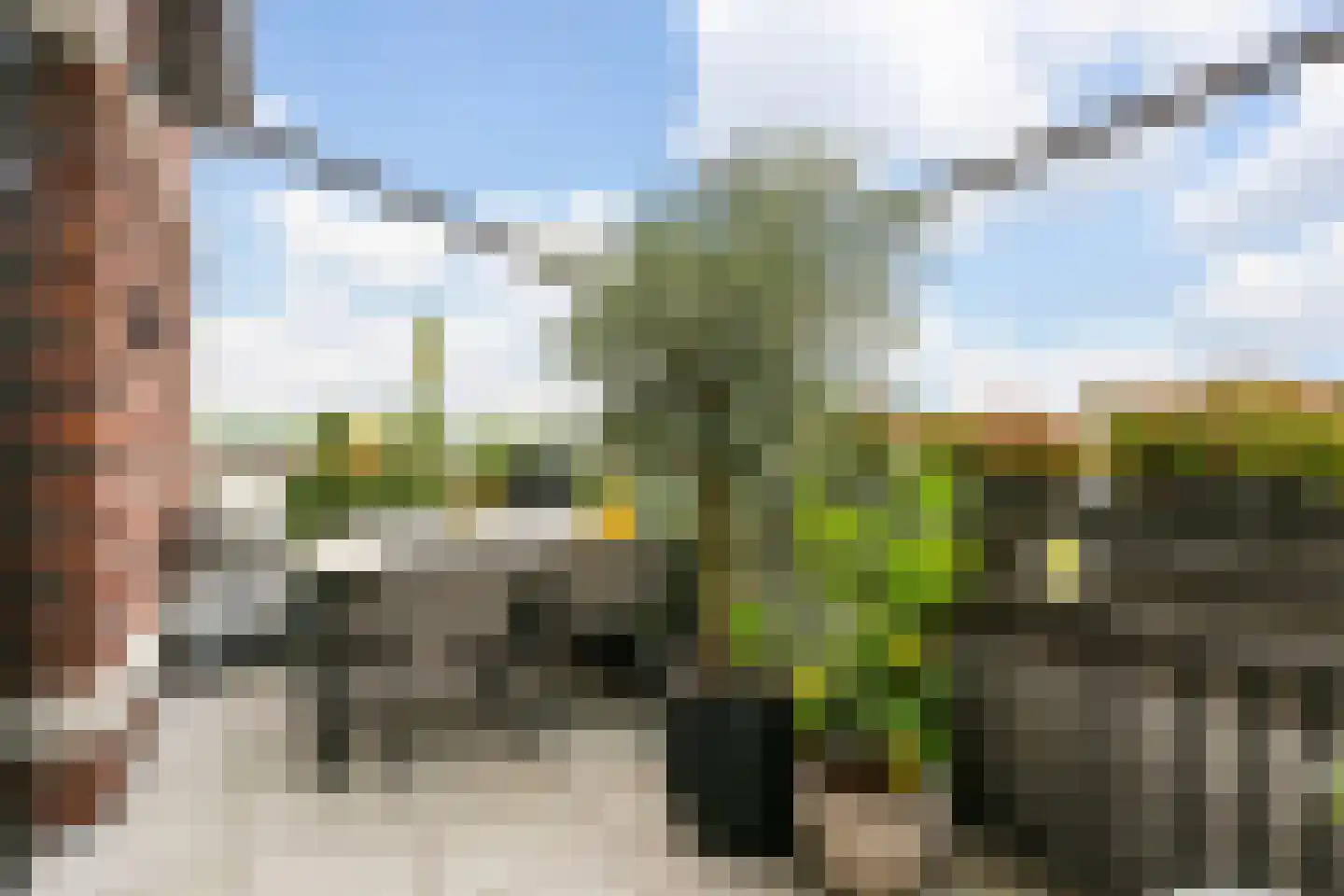 Ammerzodenlaan 113 Amersfoort thumbnail 19