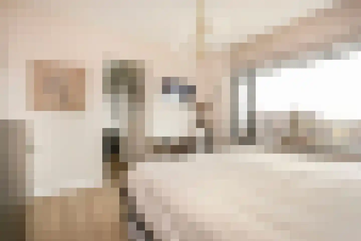 Ammerzodenlaan 113 Amersfoort thumbnail 23