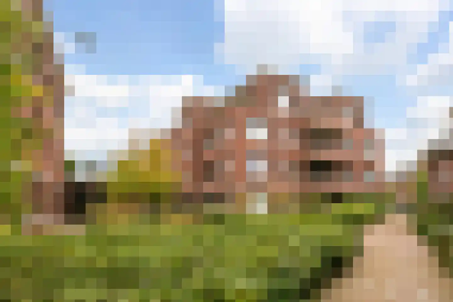 Ammerzodenlaan 113 Amersfoort thumbnail 34