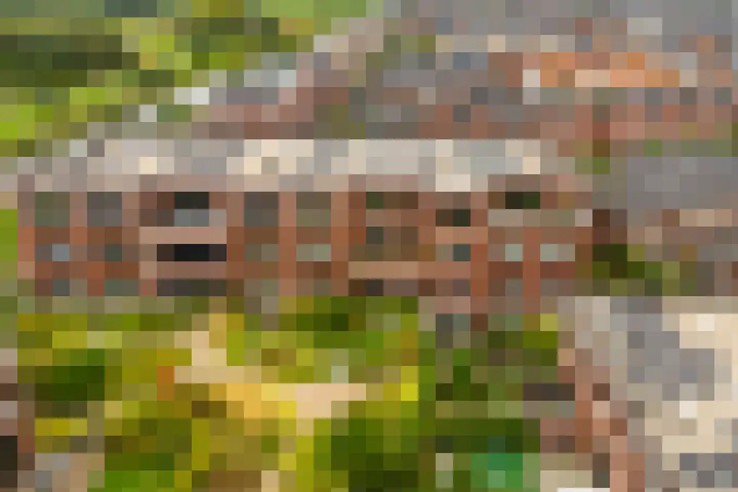 Ammerzodenlaan 113 Amersfoort thumbnail 38