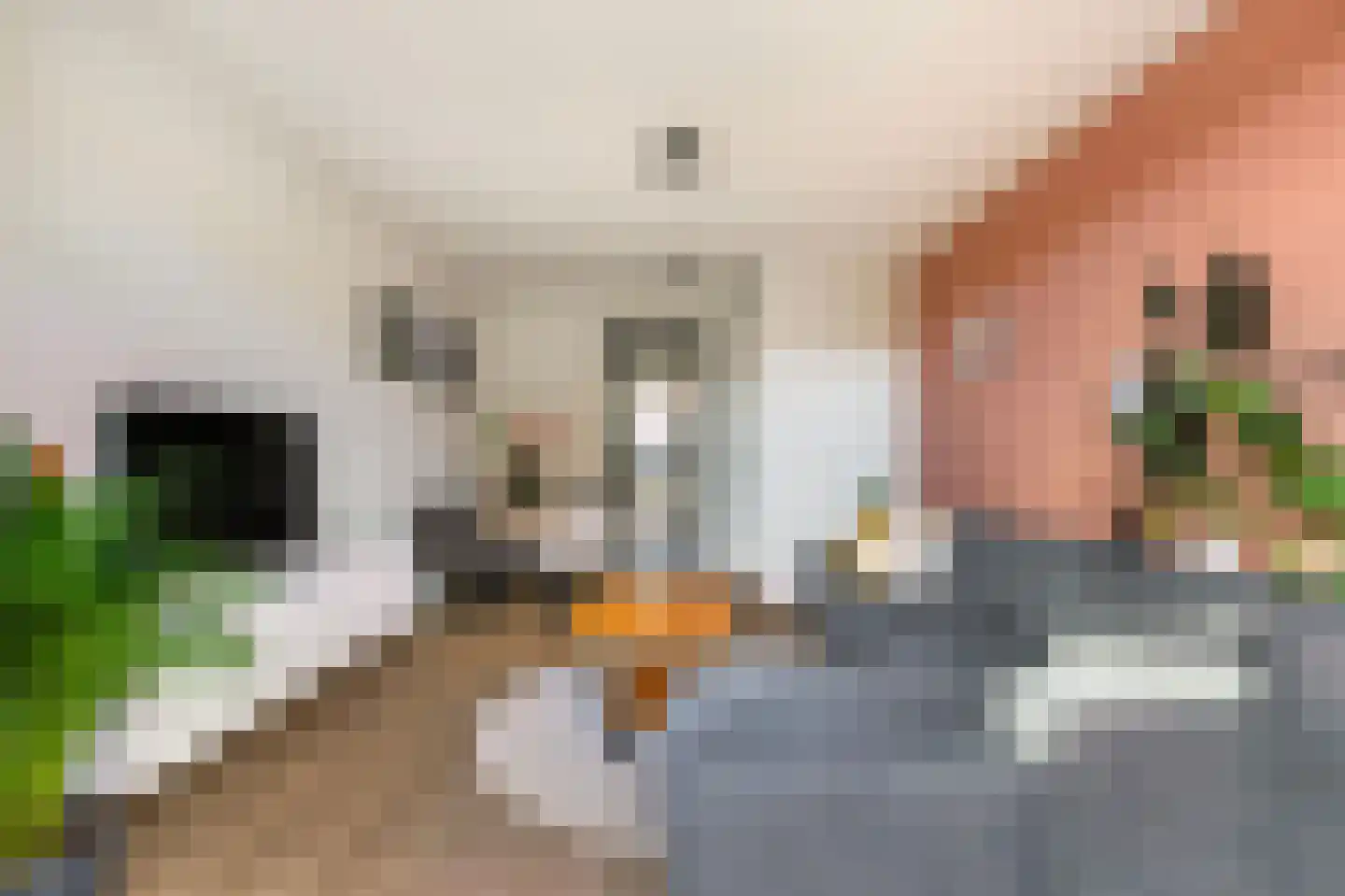 Ammerzodenlaan 22 Amersfoort thumbnail 18