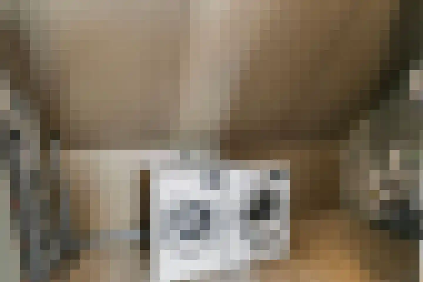 Ammerzodenlaan 22 Amersfoort thumbnail 32
