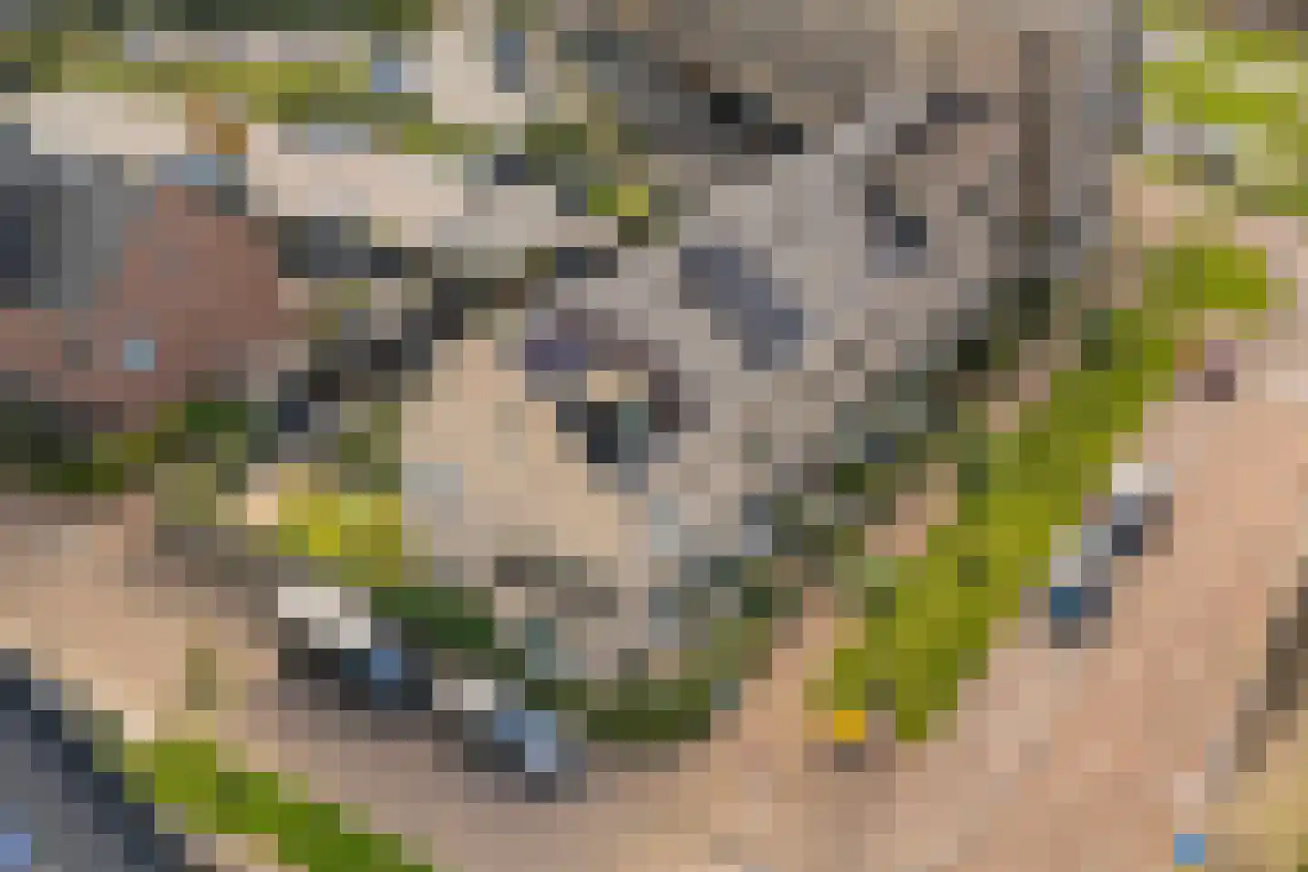 Ammerzodenlaan 22 Amersfoort thumbnail 33