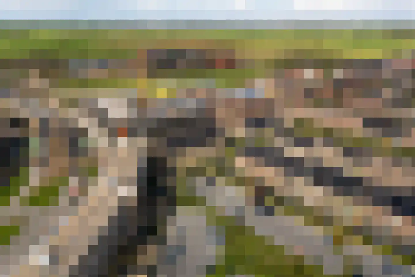 Ammerzodenlaan 22 Amersfoort thumbnail 38