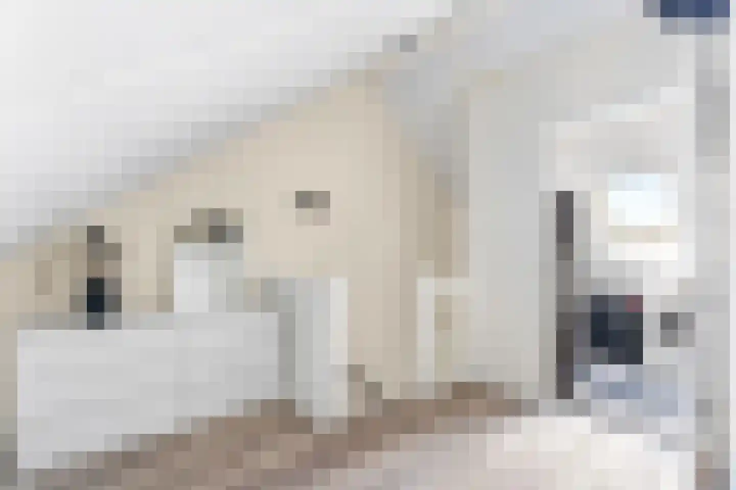 Ammerzodenlaan 48 Amersfoort thumbnail 28