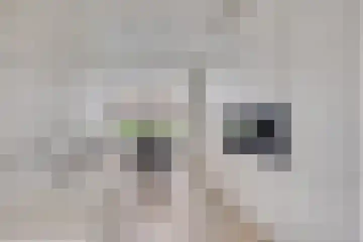 Ammerzodenlaan 80 Amersfoort thumbnail 10
