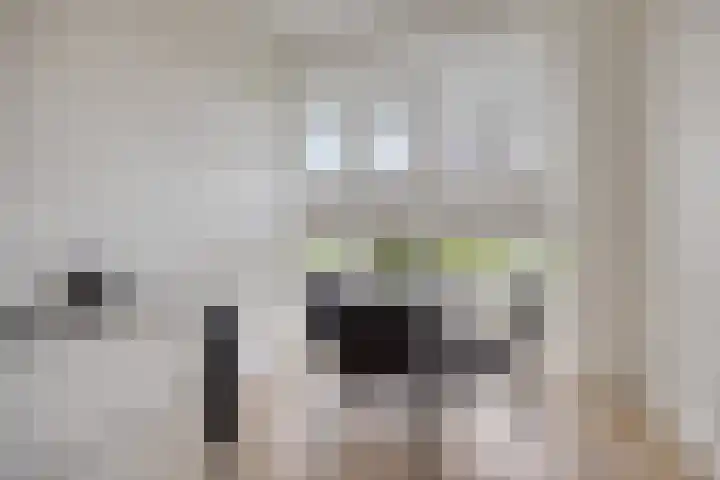 Ammerzodenlaan 80 Amersfoort thumbnail 12