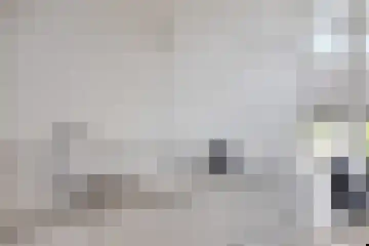 Ammerzodenlaan 80 Amersfoort thumbnail 13