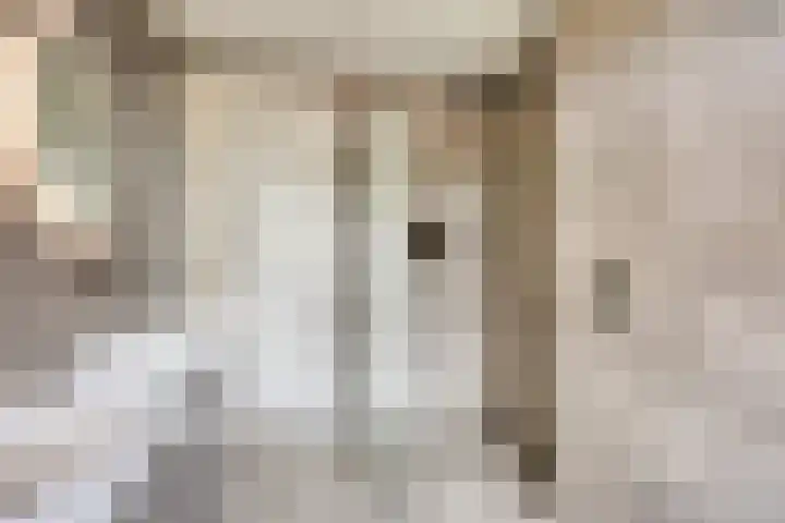 Ammerzodenlaan 80 Amersfoort thumbnail 21