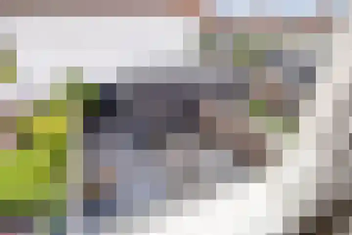 Ammerzodenlaan 80 Amersfoort thumbnail 23