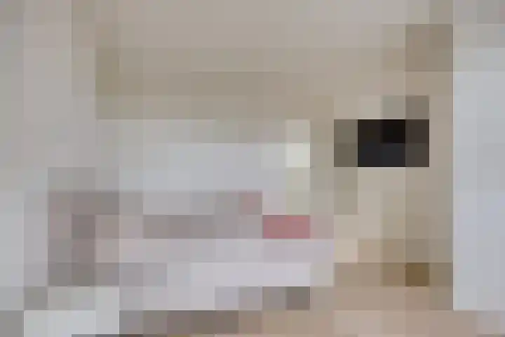 Ammerzodenlaan 80 Amersfoort thumbnail 27