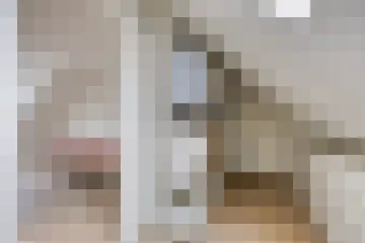 Ammerzodenlaan 80 Amersfoort thumbnail 28