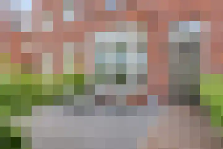 Ammerzodenlaan 80 Amersfoort thumbnail 37
