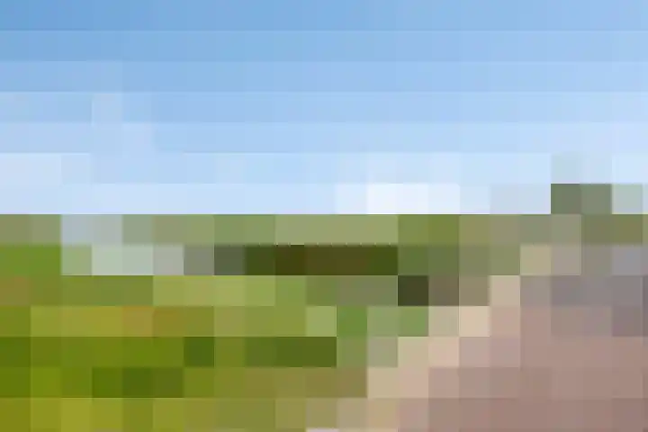 Ammerzodenlaan 80 Amersfoort thumbnail 41