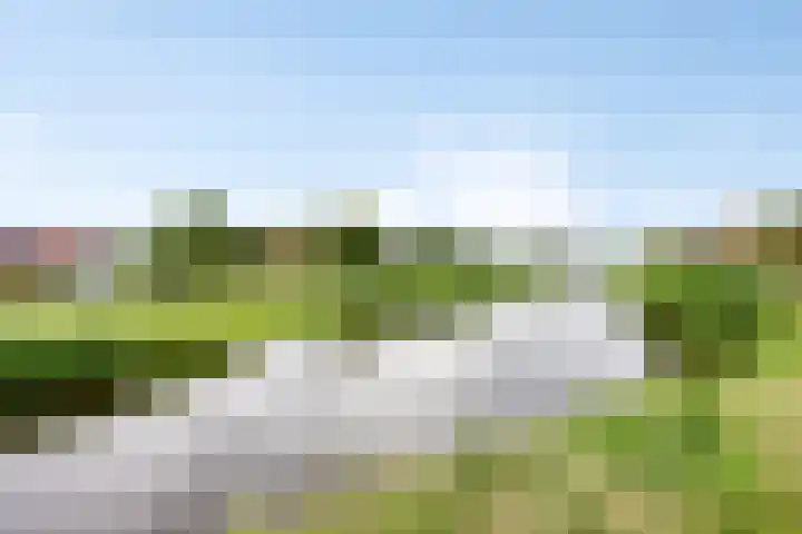 Ammerzodenlaan 80 Amersfoort thumbnail 42