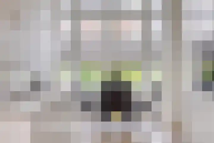 Ammerzodenlaan 80 Amersfoort thumbnail 8