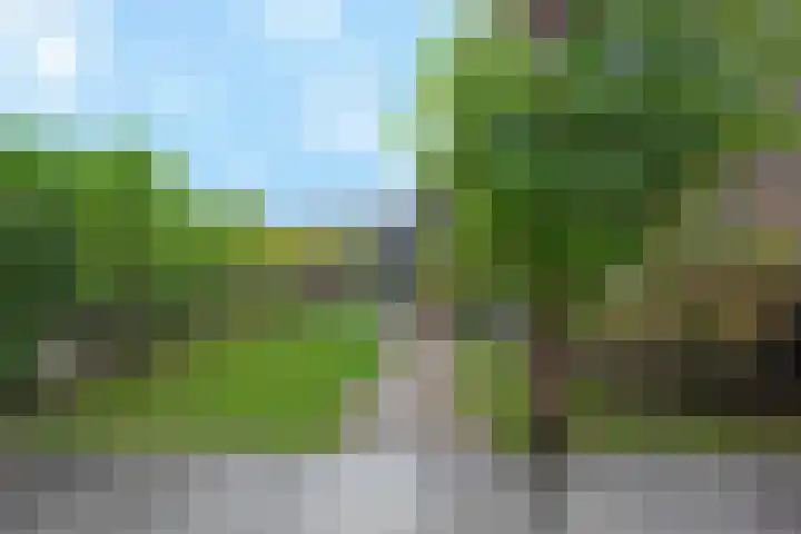 Ammerzodenlaan 90 Amersfoort thumbnail 37