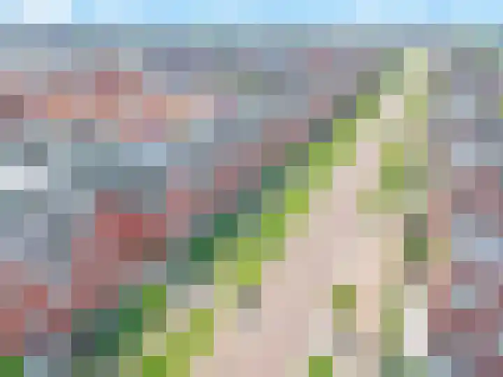 Ammerzodenlaan 90 Amersfoort thumbnail 40