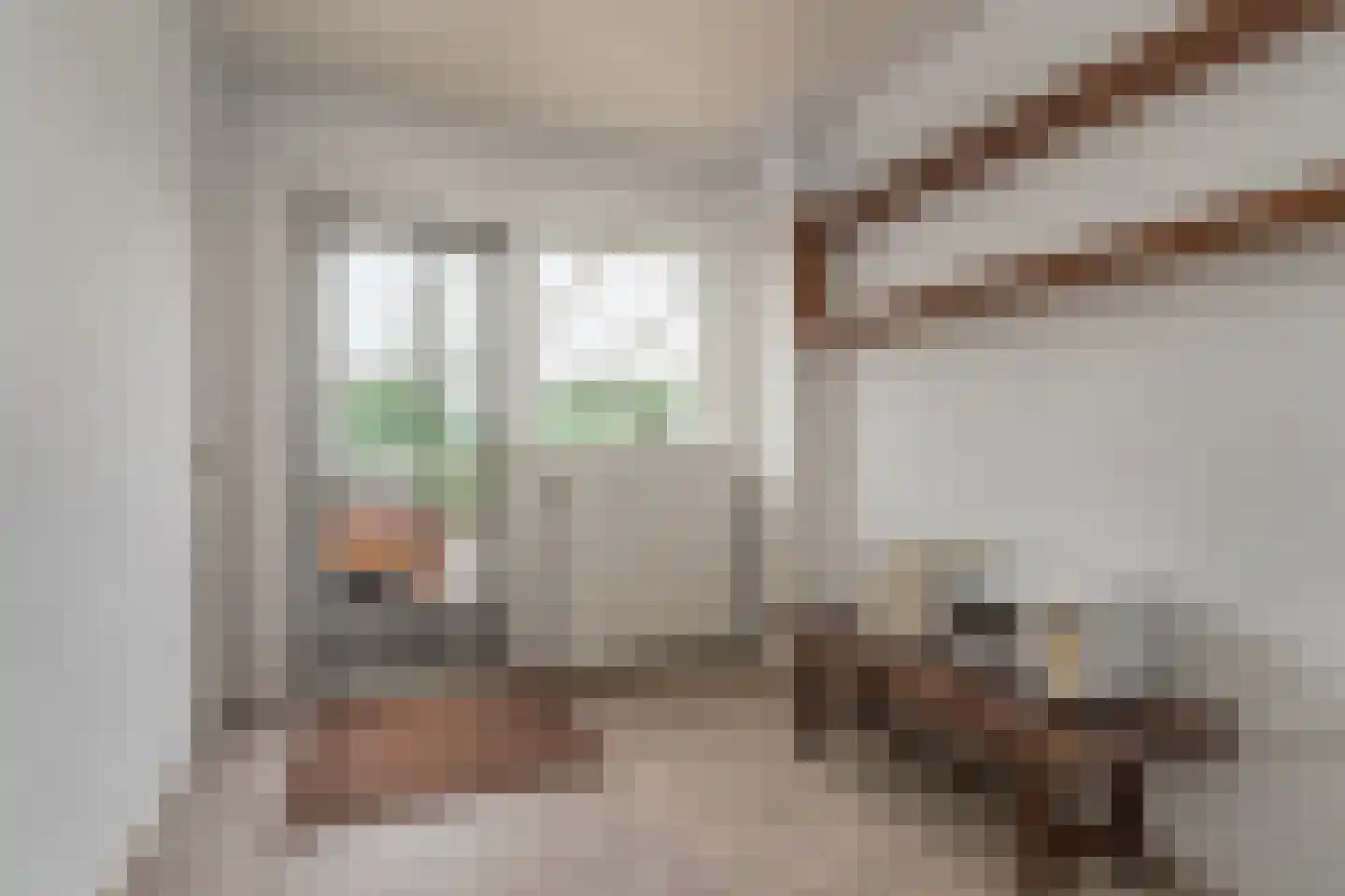 Ammerzodenseweg 9 Hedel thumbnail 10