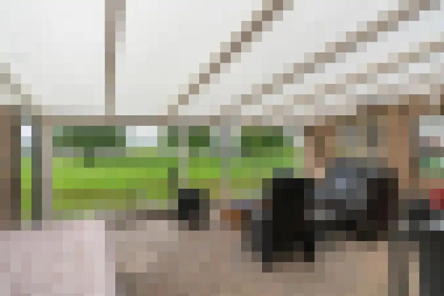 Ammerzodenseweg 9 Hedel thumbnail 11