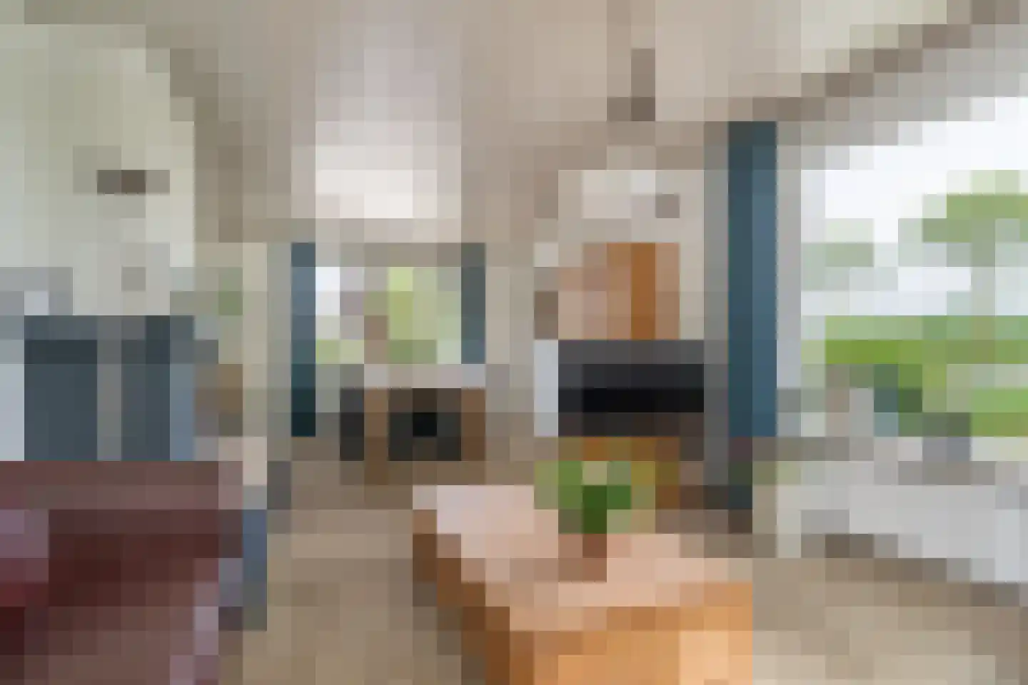 Ammerzodenseweg 9 Hedel thumbnail 14