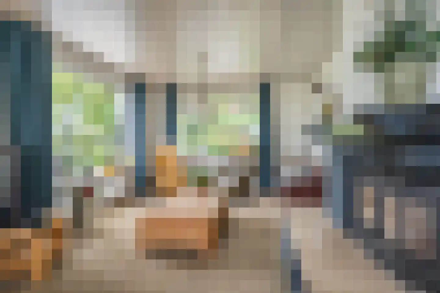 Ammerzodenseweg 9 Hedel thumbnail 16