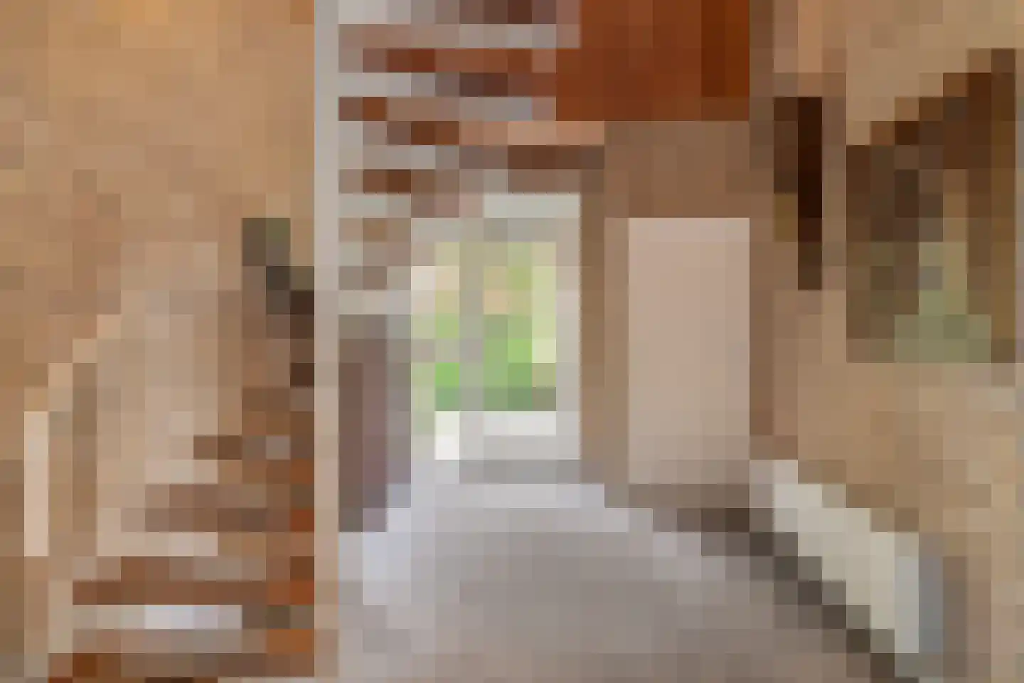 Ammerzodenseweg 9 Hedel thumbnail 17