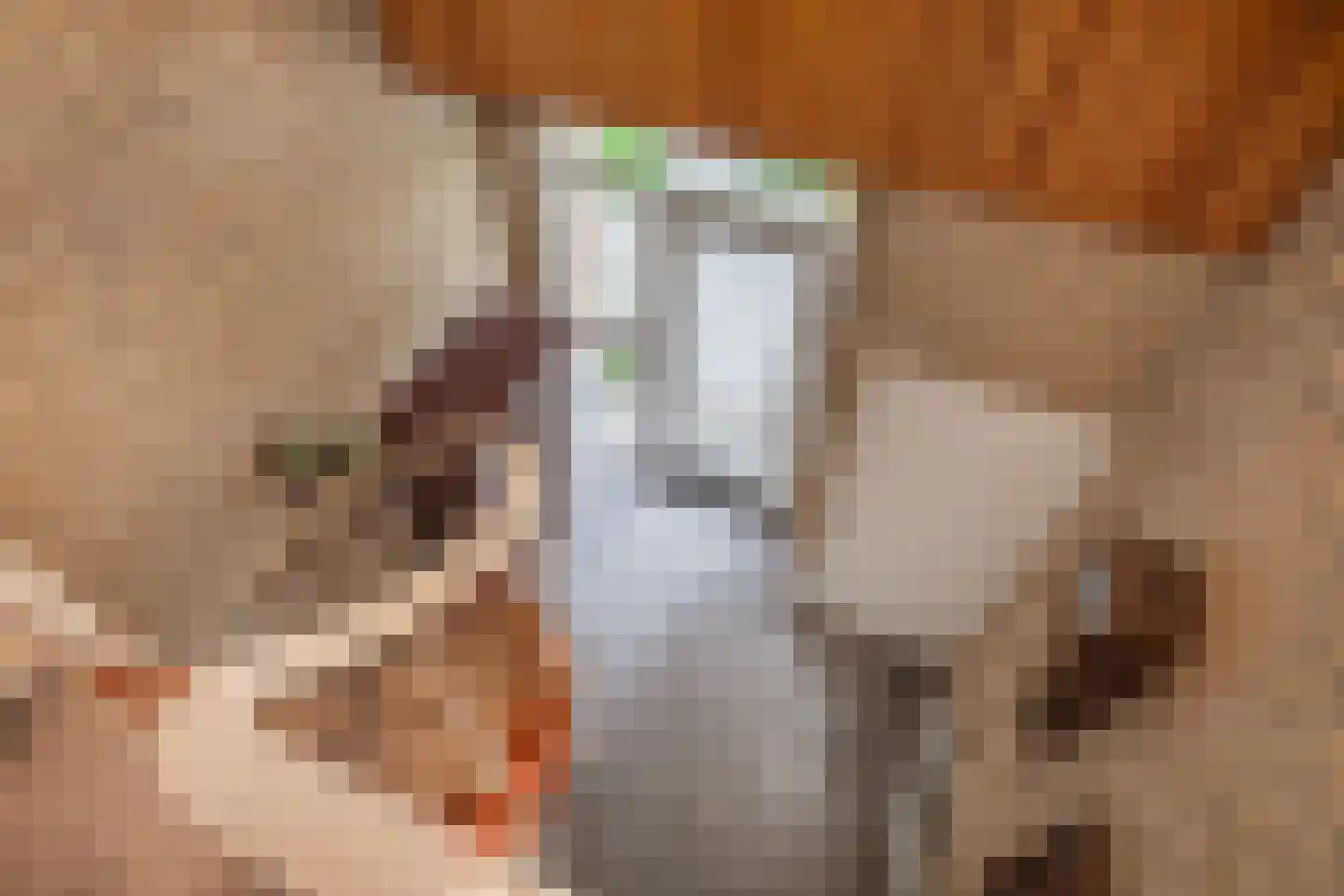Ammerzodenseweg 9 Hedel thumbnail 21