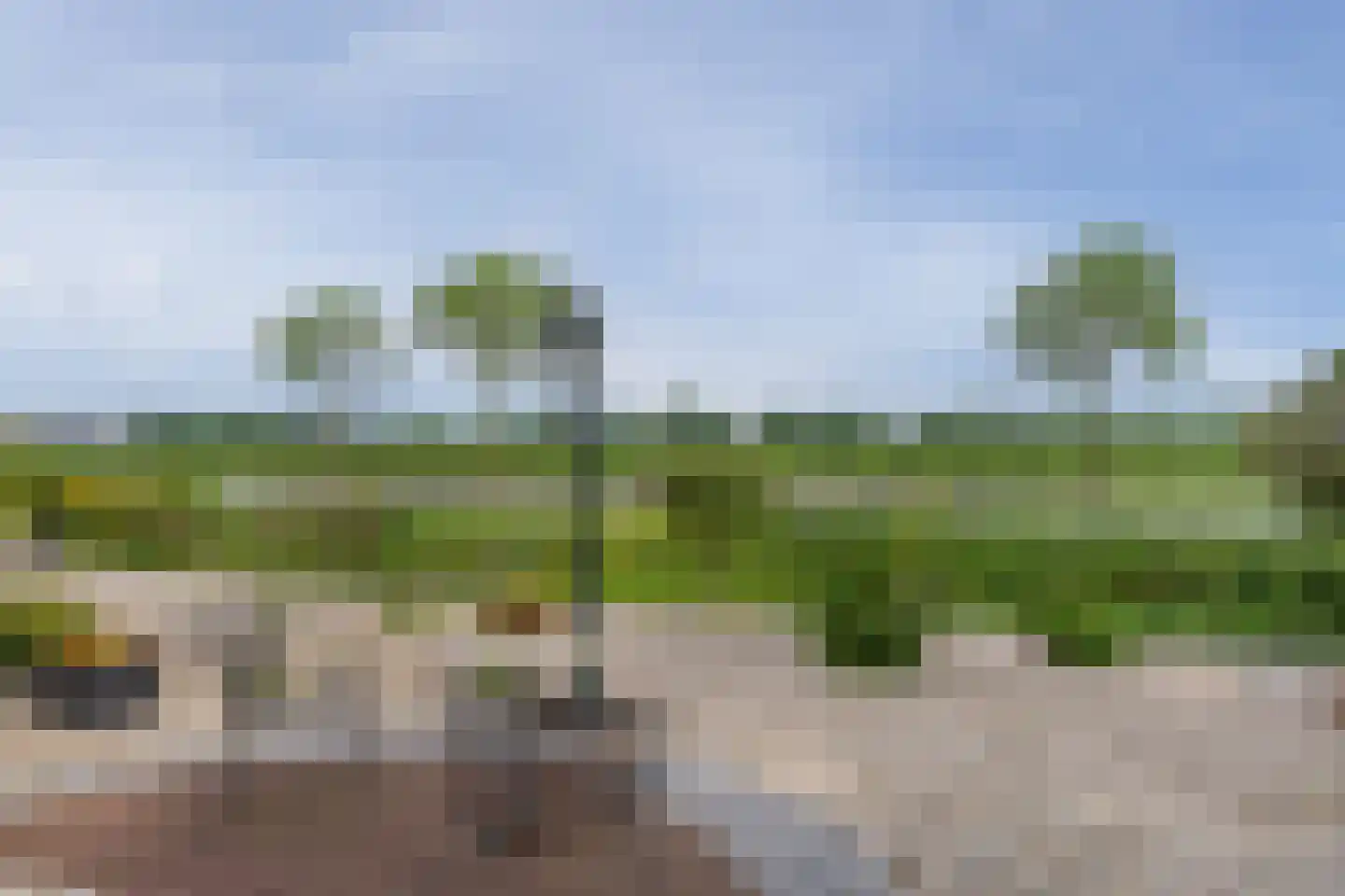 Ammerzodenseweg 9 Hedel thumbnail 32