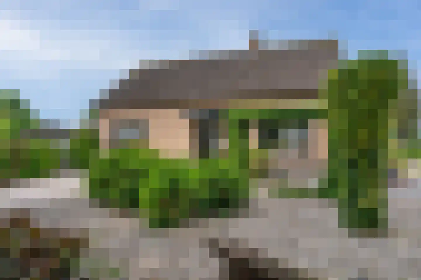 Ammerzodenseweg 9 Hedel thumbnail 34