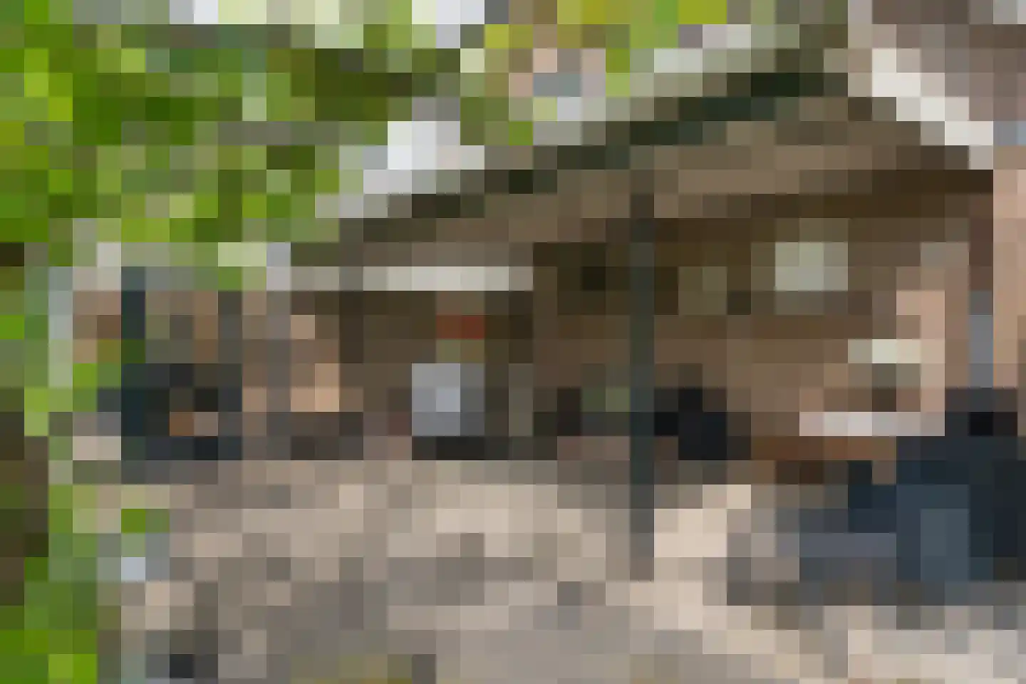 Ammerzodenseweg 9 Hedel thumbnail 35