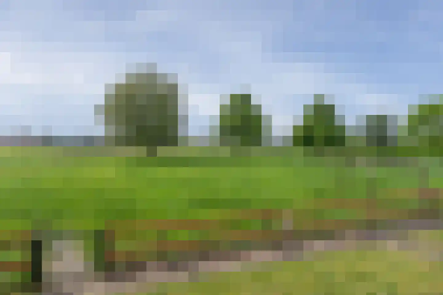 Ammerzodenseweg 9 Hedel thumbnail 36