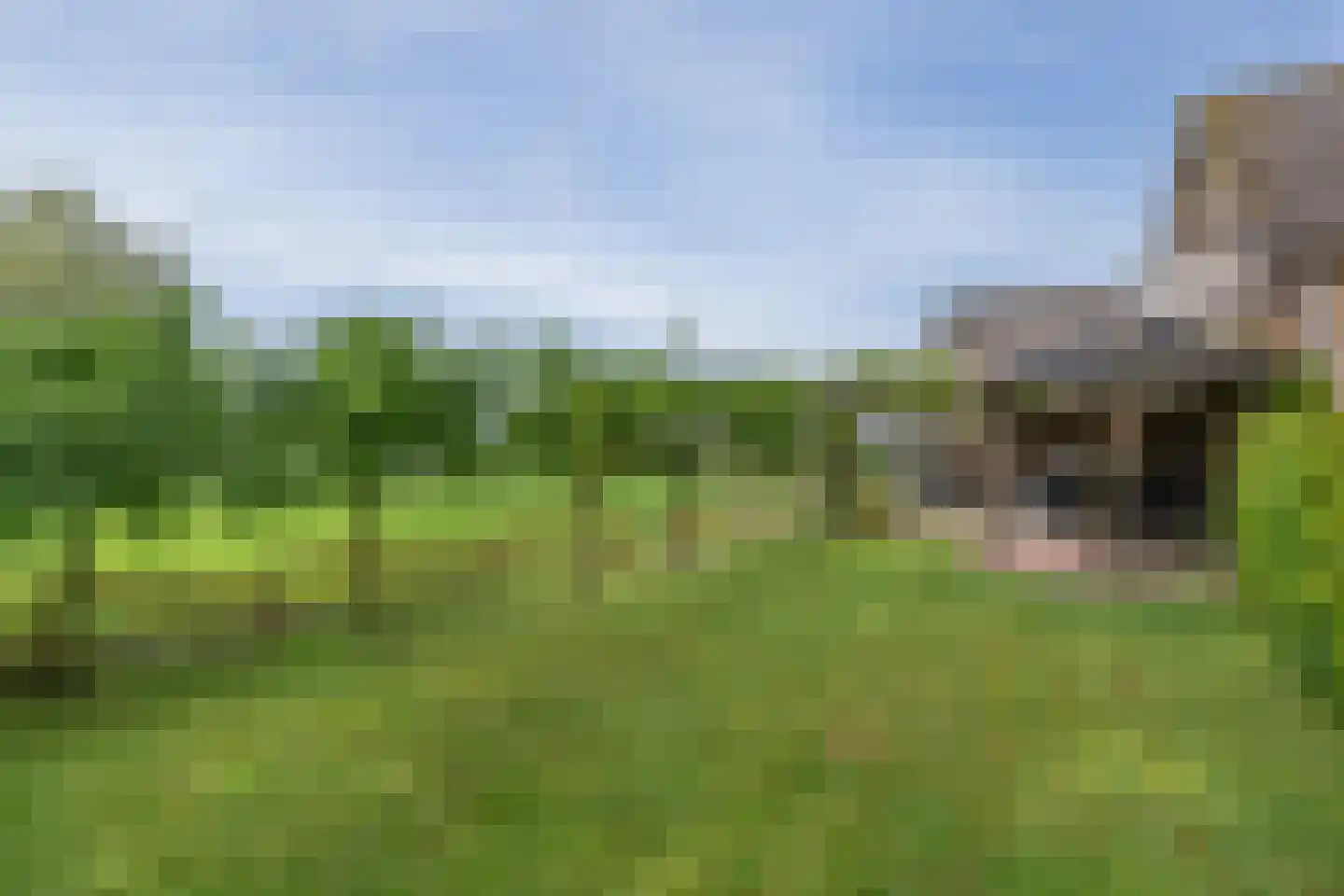 Ammerzodenseweg 9 Hedel thumbnail 37