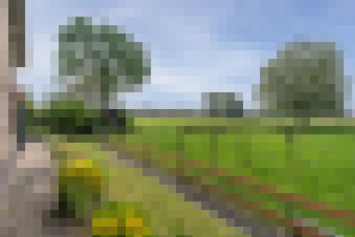 Ammerzodenseweg 9 Hedel thumbnail 39