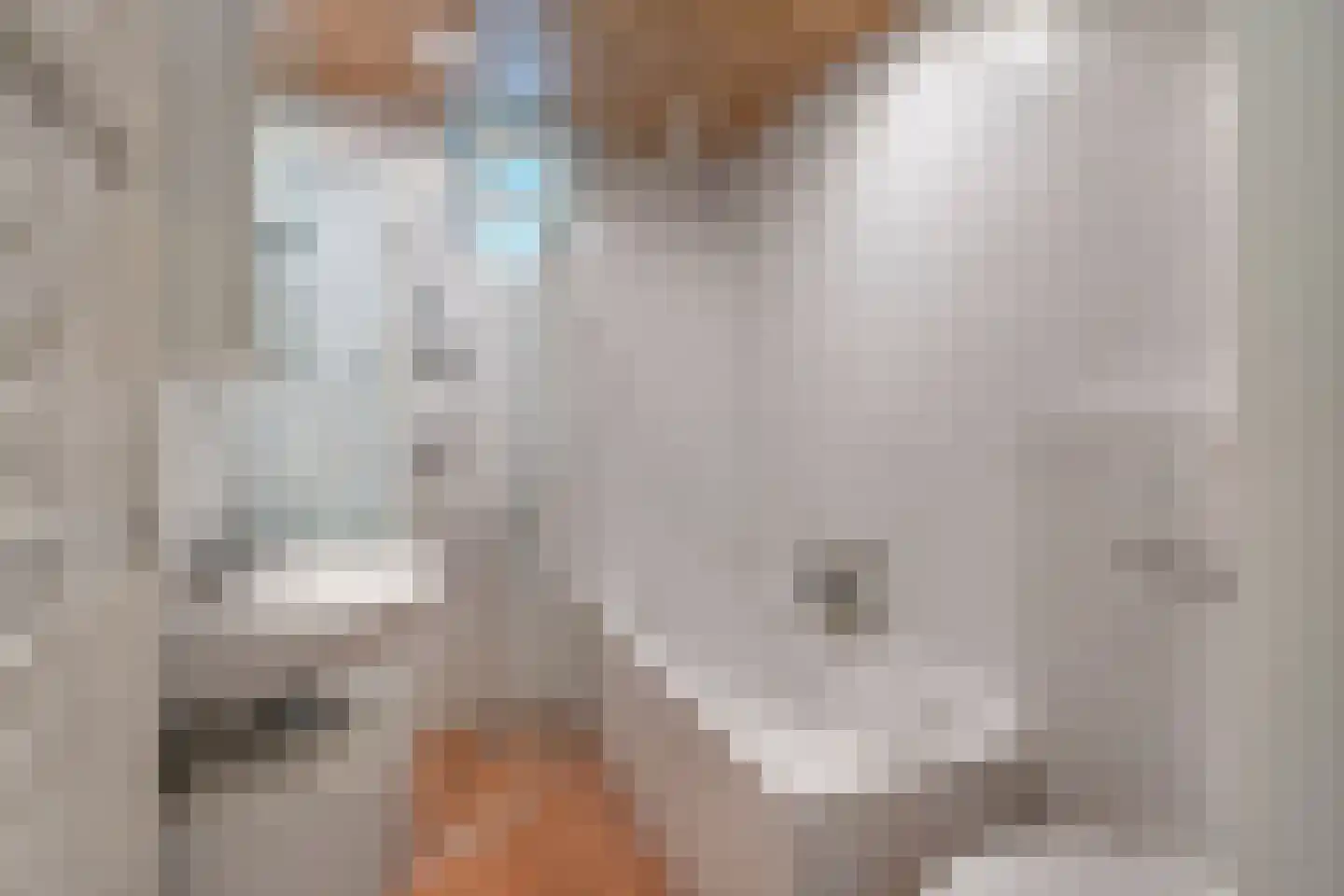 Ammerzodenseweg 9 Hedel thumbnail 4