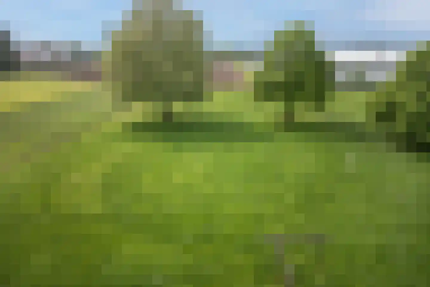 Ammerzodenseweg 9 Hedel thumbnail 40