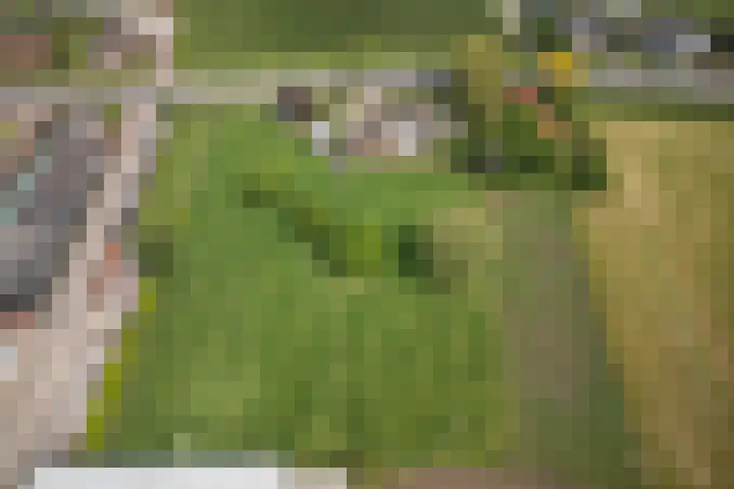 Ammerzodenseweg 9 Hedel thumbnail 42