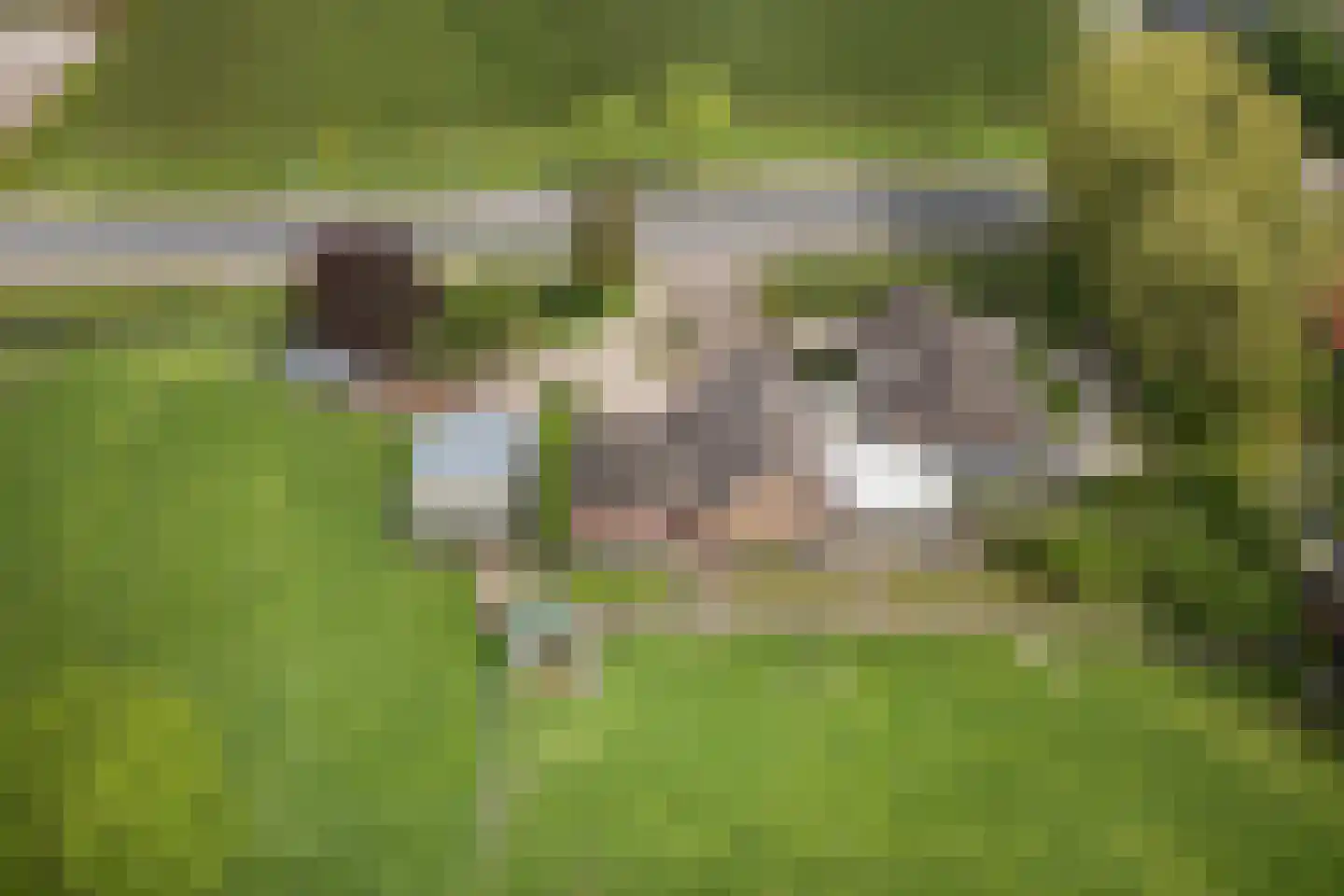 Ammerzodenseweg 9 Hedel thumbnail 43