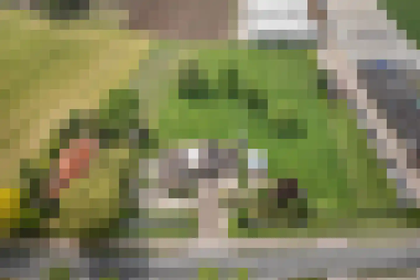 Ammerzodenseweg 9 Hedel thumbnail 45