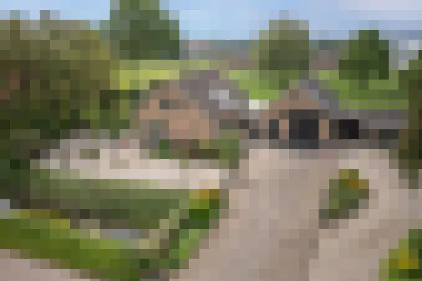 Ammerzodenseweg 9 Hedel thumbnail 46