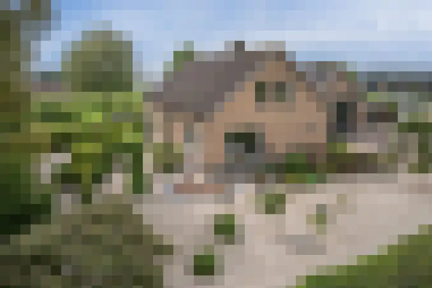 Ammerzodenseweg 9 Hedel thumbnail 47