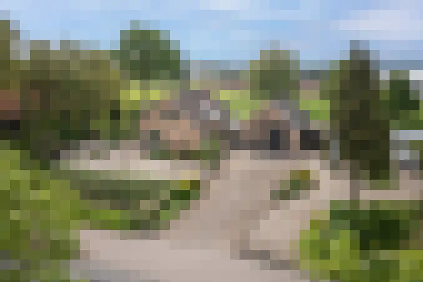 Ammerzodenseweg 9 Hedel thumbnail 5