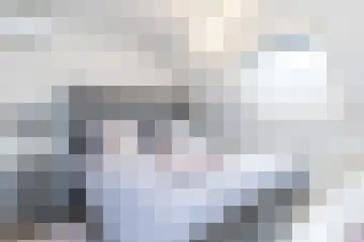 Ammonieterf 186 Heerlen thumbnail 18