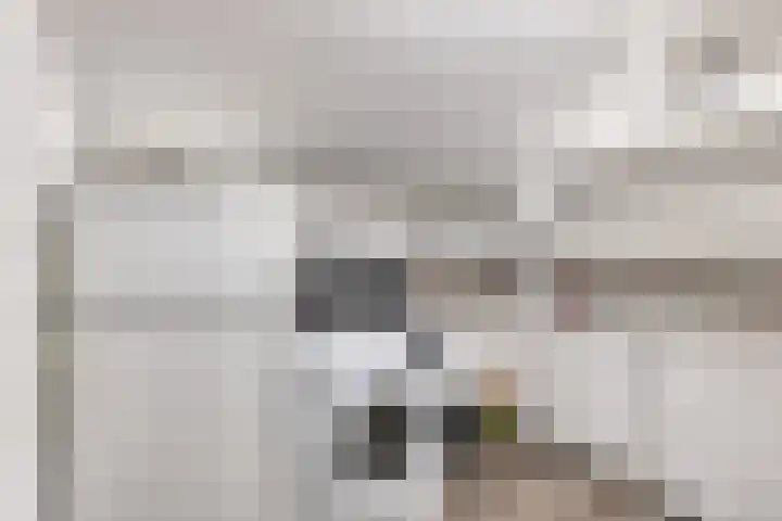 Ammonieterf 2 Heerlen thumbnail 18