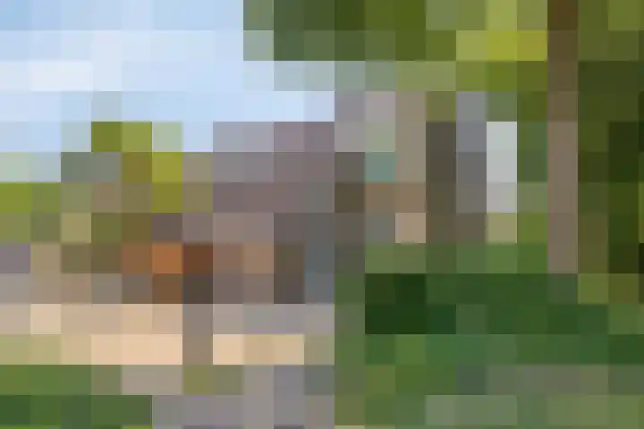 Ammonieterf 2 Heerlen thumbnail 23