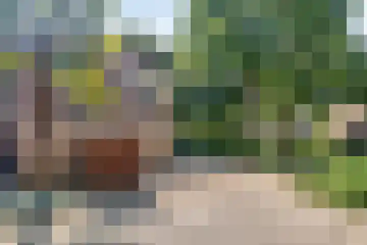 Ammonieterf 2 Heerlen thumbnail 24